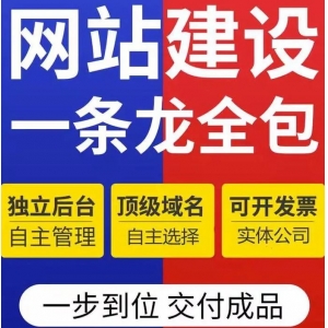 智能客服在支付问题处理中的能力与挑战