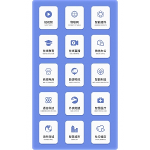 数星云科技打造多语言智能语音助手，助力全球化无障碍交互